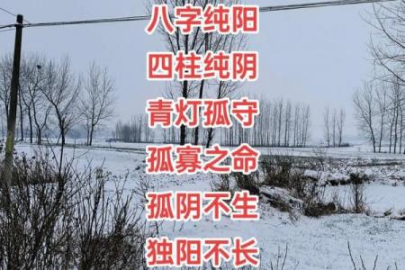 八字纯阳命一般人压不住 八字纯阳命难以被他人掌控