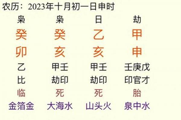 八字出生年的五行命 八字命理中的出生年五行解读