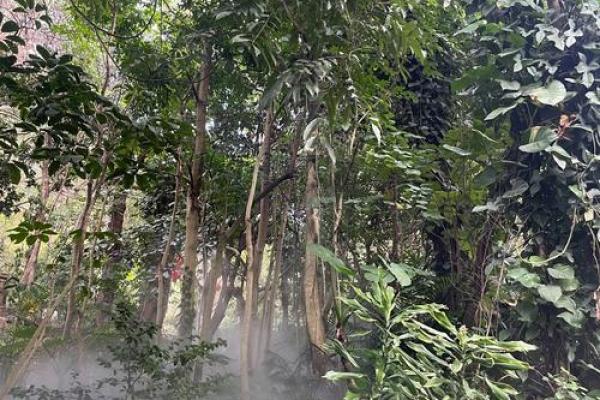 八字纯阳男和命硬女 八字阳性男与命理坚韧女