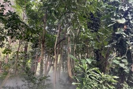 八字纯阳男和命硬女 八字阳性男与命理坚韧女