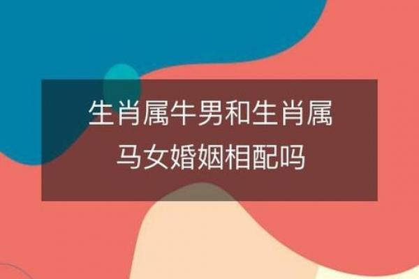 属牛和属龙人相配吗,属牛与属龙的相配性如何