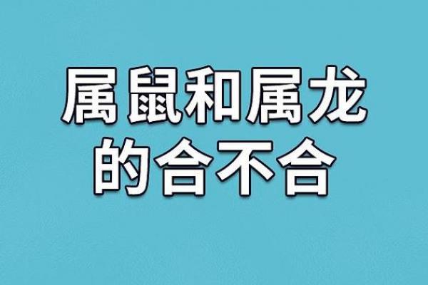 属牛和属鼠相配指数 属牛与属鼠的配对指数评估