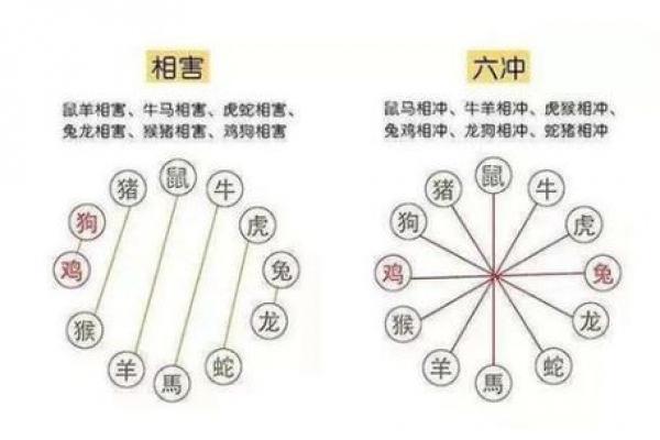 属牛和属兔相配合吗,属牛与属兔的配对是否合适