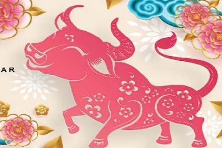 属牛和属龙人相配吗,属牛与属龙的相配性如何