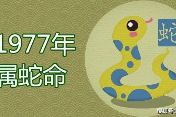 52岁属蛇跟什么相配 52岁属蛇与哪些生肖最相配