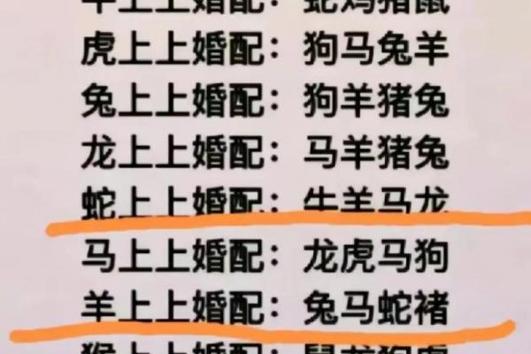 05年男属什么生肖相配_2005年男性生肖最佳配对方式