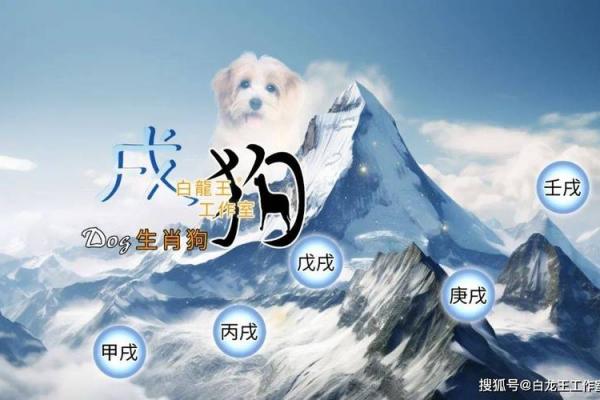 46年属狗男与属虎相配 46年属狗男性和属虎女性的最佳配对