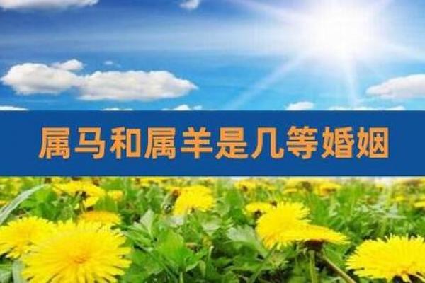 02年属马和羊相配吗（02年出生的马和羊是否合适相配）