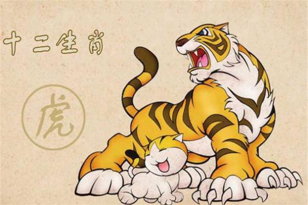 属牛和属虎相配不配婚姻,属牛与属虎的婚姻相合程度如何