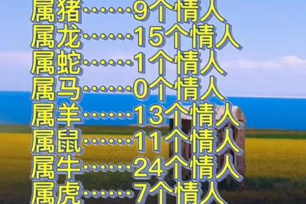 属牛和属马相配能长久吗（属牛与属马的配对是否能够长久维持）