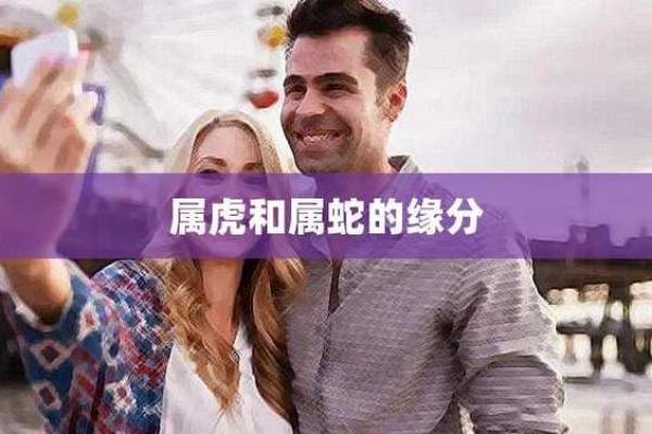 8月属虎和1月属蛇相配,八月虎与一月蛇的最佳配对