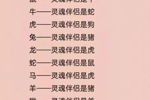 02年属龙跟什么属相配,02年属龙的最佳配偶属相推荐