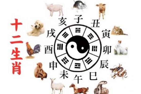 20岁属什么生肖相配 20岁的人与哪些生肖最相配