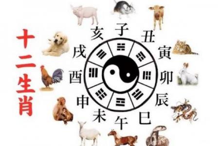 20岁属什么生肖相配 20岁的人与哪些生肖最相配