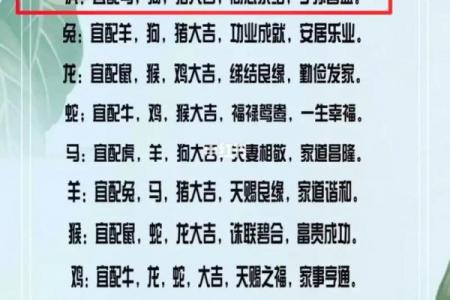 37岁属哪个生肖相配,37岁生肖相合情况介绍
