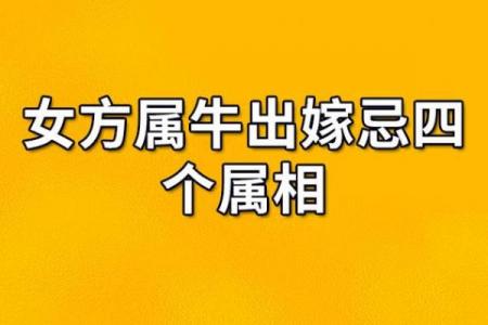属牛和羊相配婚姻,牛羊婚配的幸福之路