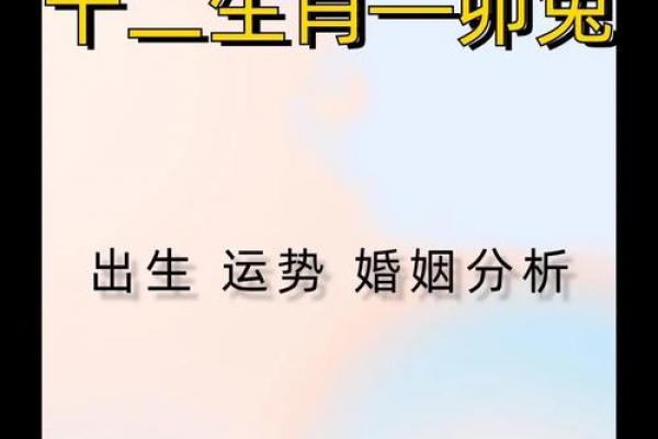 属牛和属兔相配度高吗,属牛与属兔的配对程度高吗