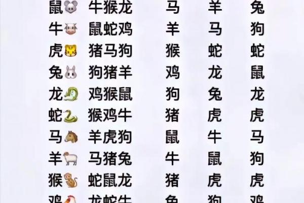 8岁女孩属什么生肖相配_8岁女孩属相与生肖匹配指南