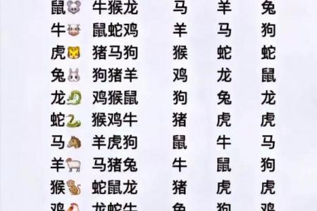 8岁女孩属什么生肖相配_8岁女孩属相与生肖匹配指南
