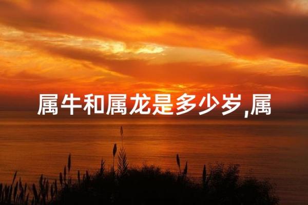 属牛和属龙能相配吗,属牛与属龙的配对情况如何