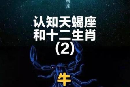 属牛和天蝎男相配吗（属牛与天蝎男的配对情况如何）