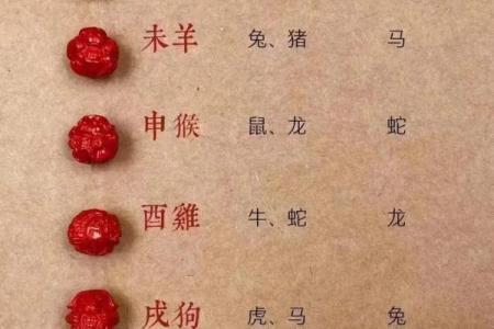 00年属龙和什么相配呢 2000年属龙的人适合与哪些生肖相配