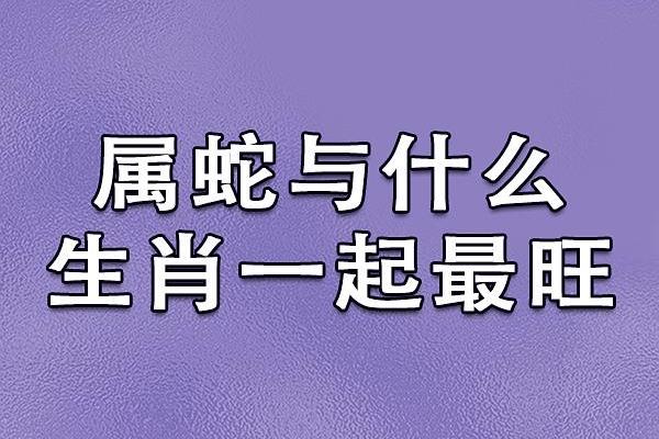 属牛和属蛇相配度,属牛与属蛇的匹配关系