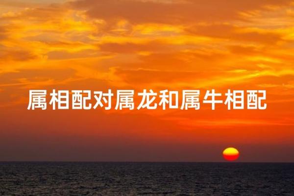 属牛和属牛能相配吗 属牛与属牛的配对是否合适