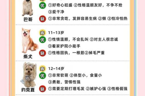 八字不适合养狗怎么解命,如何破解八字不宜养狗的命理