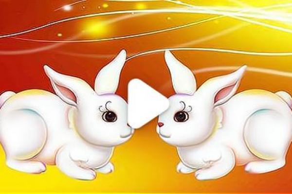 属牛和属兔何不相配,属牛与属兔为何难以和谐相处