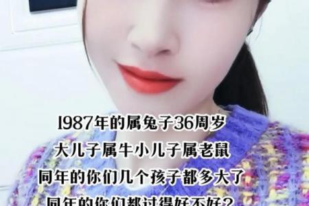 属牛和属兔何不相配,属牛与属兔为何难以和谐相处