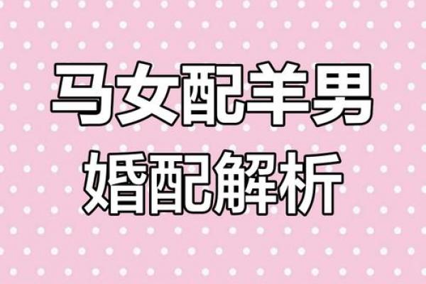 34属马和属什么相配 34属马与哪些生肖最为相配