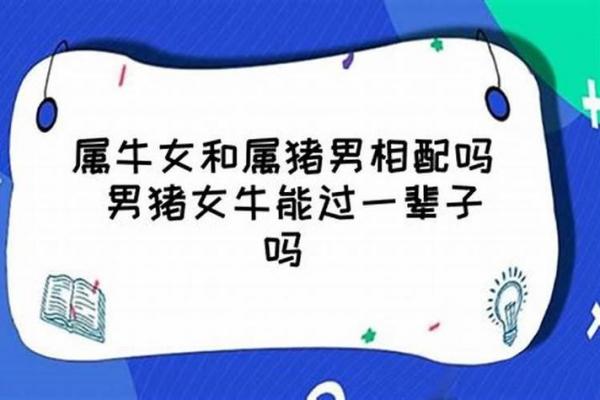 属牛和属猪相配怎样 属牛与属猪的婚配情况如何