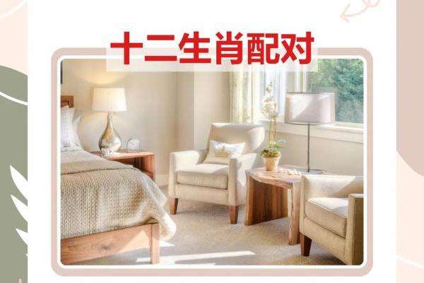 属牛和属兔相配吗做生意 牛兔生肖配合在商业合作中的适宜性