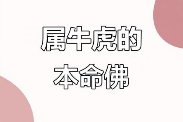 属牛虎和属牛婚姻相配吗,牛虎夫妻之间的婚姻契合度如何