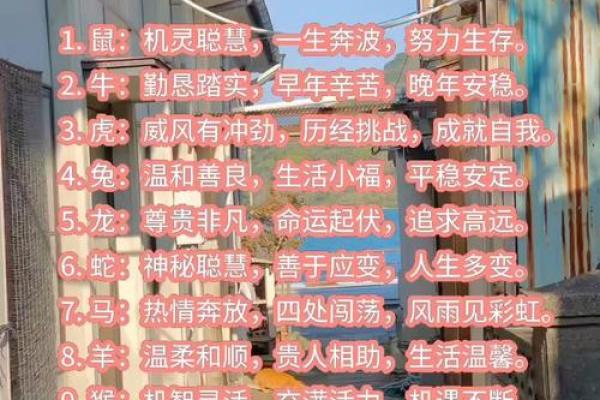 03年属什么相配生肖女（2003年出生的生肖女与哪些生肖最合适）