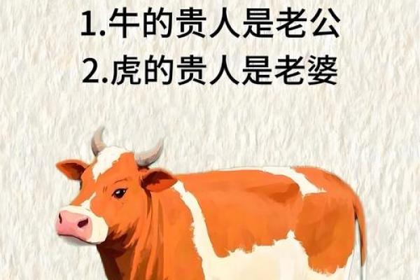 属牛和属牛结婚属相配吗,属牛人与属牛人婚配是否合适