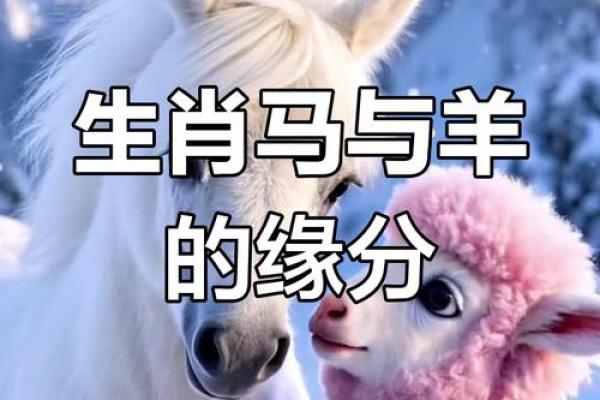 02年属马和什么相配 2002年属马的最佳配对对象