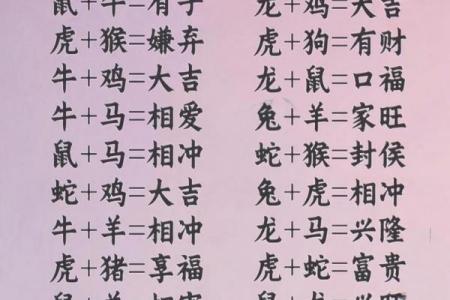 02年属马和什么相配 2002年属马的最佳配对对象