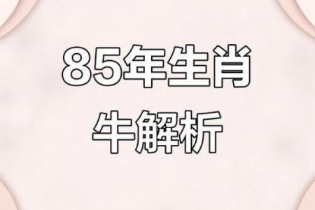 属牛和属牛八字相配吗（属牛的八字与属牛的人相合吗）
