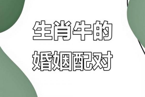 属牛和属牛男相配吗 属牛男与属牛是否般配