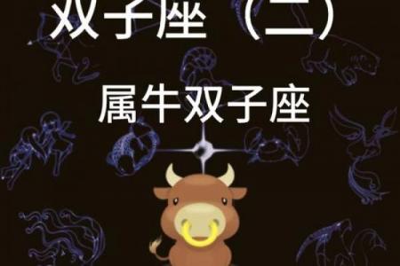 属牛和属羊婚姻相配吗（属牛与属羊的婚姻是否相合）