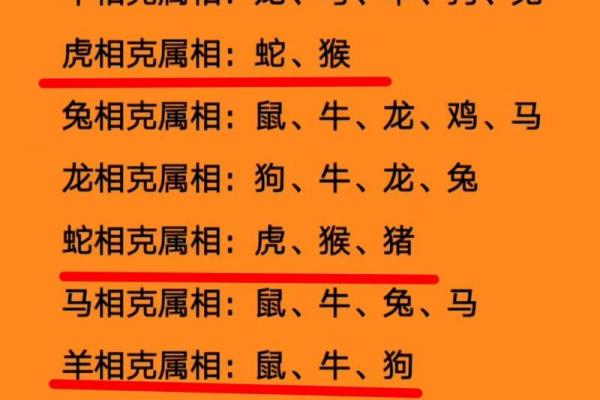 属牛和属兔相配差几岁（属牛与属兔的年龄差距有多大）