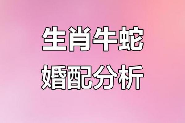 属牛和属龙女相配好不好,属牛与属龙女性的配对情况如何