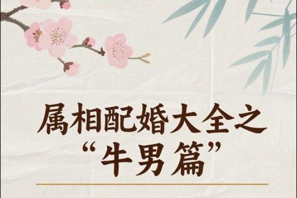 属牛和属鼠为什么相配 牛鼠配对的缘由与和谐