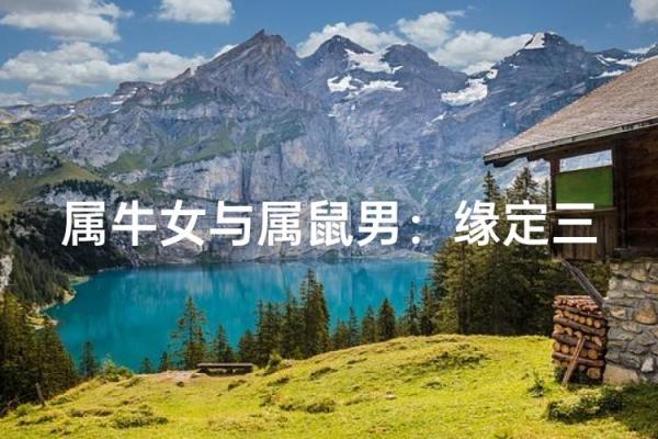 属牛和属鼠为什么相配 牛鼠配对的缘由与和谐