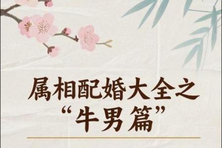 属牛和属鼠为什么相配 牛鼠配对的缘由与和谐