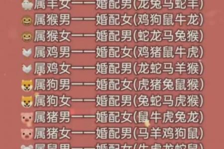 属牛和属兔子相配吗_属牛与属兔的婚配是否和谐