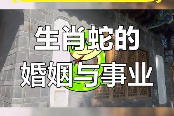 属牛和属蛇相配好不好,属牛与属蛇的配对是否合适