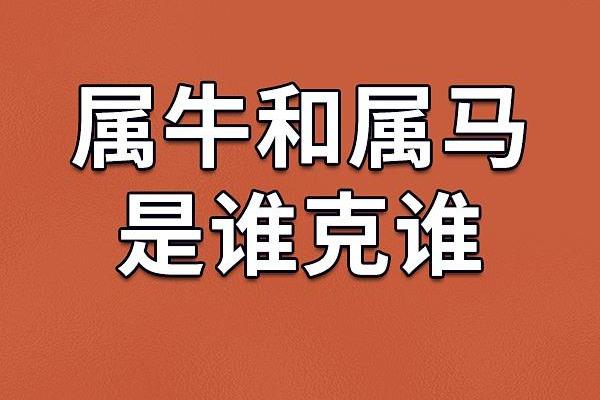 02年属马和属牛相配吗,2002年属马人与属牛的配对情况